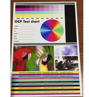 Het tweezijdige Voor het drukken geschikte A4-Blad van Pvc met de Hoge Restauratie van de Graadkleur
