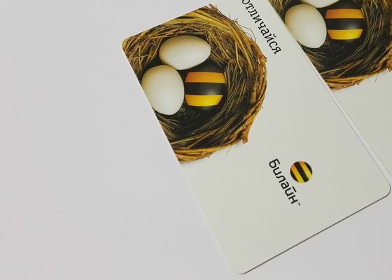 De dubbele Zijkaart verzegelde 0.40mm de Voor het drukken geschikte Bladen van Pvc